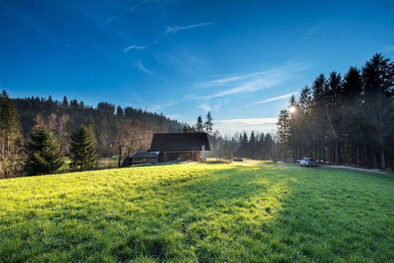Little Dream House In A Perfect Spot Villa Zalog Kültér fotó